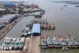 Vessels dock at Cat Lo fishing port in Phuoc Thang ward, Ho Chi Minh City. (Photo: VNA) 