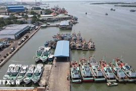 Vessels dock at Cat Lo fishing port in Phuoc Thang ward, Ho Chi Minh City. (Photo: VNA) 