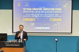 Vietnamese Ambassador to Singapore Tran Phuoc Anh addresses the Vietnam-Singapore Innovation Forum. (Photo: VNA)