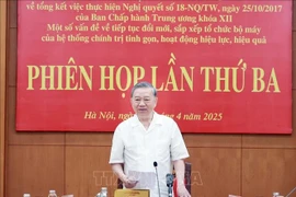 Party General Secretary To Lam speaks at the third meeting of the Central Steering Committee for summarising the implementation of Resolution No. 18-NQ/TW of the 12th Party Central Committee. (Photo: VNA)