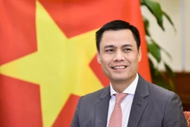 Deputy Minister of Foreign Affairs Dang Hoang Giang (Photo: Ministry of Foreign Affairs)