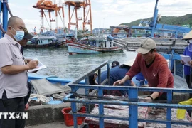 Monitoring the unloading of fish at the port. (Photo: VNA)