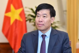 Deputy Minister of Foreign Affairs Nguyen Manh Cuong (Photo: VNA)