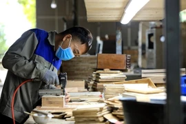 Production at a small enterprise in Thanh Hoa province. Linkages will help small and medium sized enterprises diversify markets. (Photo: VNA)