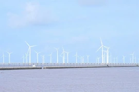 Wind turbines rise across Can Tho, reflecting the city’s push to expand renewable energy as part of its strategy to support sustainable growth and strengthen long-term energy security. (Photo: kinhtedothi.vn)