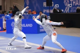 At the 33rd SEA Games in Thailand, the Vietnamese team competed in all events and secured a total of 10 medals, including three golds, two silvers and five bronzes. (Illustrative photo: VNA)