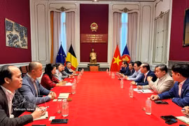 The working session between the Hue delegation and representatives from the Vietnamese Embassy in Belgium and the Association of Vietnamese Intellectuals in Belgium and Luxembourg. (Photo: VNA)