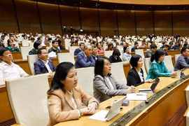 Deputies attend the 15th National Assembly’s 10th session (Photo: VNA)