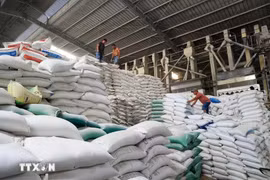 Rice is one of Vietnam's exports to Cuba. (Photo: VNA)
