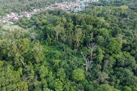 This aerial photo taken on Feb. 14, 2025, shows forest areas that surround a village in Sigi, Central Sulawesi province. (Illustrative photo: Antara News) 