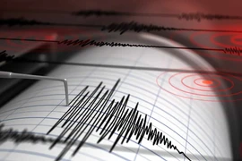 Indonesia: 5.5-magnitude earthquake strikes off East Java