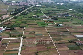 In the afternoon sitting, lawmakers will listen to a proposal and a verification report on the NA’s draft Resolution stipulating certain mechanisms and policies to solve difficulties and obstacles in the implementation of the Land Law. (Illustrative photo: VNA)