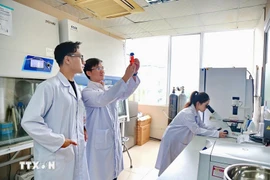 The draft documents to be submitted to the 14th National Party Congress place a strong emphasis on the role of education – training, science – technology, innovation, and human development as key drivers to enhance competitiveness and promote sustainable development. (Photo: VNA)