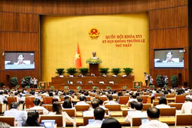 An overview of the 16th National Assembly's first extraordinary session. (Photo: VNA)