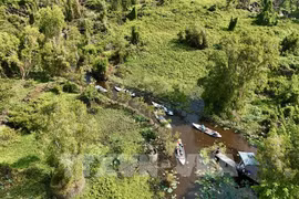 The forest database will be completed by the end of this year, adapting to the EU Deforestation Regulation (Photo: VNA)