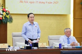 National Assembly Chairman Tran Thanh Man speaks at the National Election Council's second meeting (Photo: VNA)