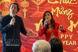 An art performance at the event (Photo: VNA)