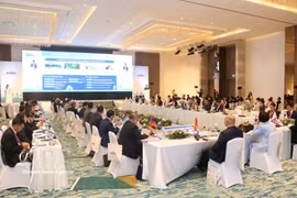 The 3rd Roundtable on Climate and Water Issues and the 9th Meeting of the Asian Parliamentary Assembly Water Consultative Council (AAWC) in Vientiane on July 28. (Photo: VNA)