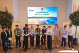 Danish and Vietnamese students debate Vietnam’s green growth future. (Photo: VNA)
