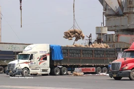 Saigon Port’s Hiep Phuoc terminal in Ho Chi Minh City has seen vessel schedules frequently adjusted in recent days as Middle East tensions disrupt global shipping routes. (Photo: VNA)