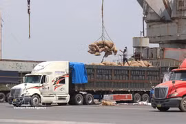 Saigon Port’s Hiep Phuoc terminal in Ho Chi Minh City has seen vessel schedules frequently adjusted in recent days as Middle East tensions disrupt global shipping routes. (Photo: VNA)