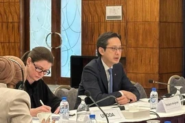 Ambassador Do Hung Viet, Permanent Representative of Vietnam to the United Nations and President-designate of the 11th Review Conference of the Treaty on the Non-Proliferation of Nuclear Weapons, chaired a consultation for Middle East and North Africa (MENA) member states (Photo: VNA)