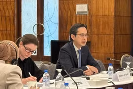 Ambassador Do Hung Viet, Permanent Representative of Vietnam to the United Nations and President-designate of the 11th Review Conference of the Treaty on the Non-Proliferation of Nuclear Weapons, chaired a consultation for Middle East and North Africa (MENA) member states (Photo: VNA)