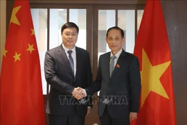 Member of the Communist Party of Vietnam Central Committee and Minister of Foreign Affairs Le Hoai Trung (R) welcomes member of the Communist Party of China Central Committee, Deputy Secretary of the Party Committee and Chairman of the Guangxi Zhuang Autonomous Region Wei Tao (Photo: VNA)