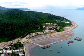 Lien Chieu port in Da Nang (Photo: VietnamPlus)
