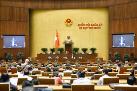 Lawmakers discuss the amended Law on Drug Prevention and Control during the 15th NA's 10th session (Photo: VNA)