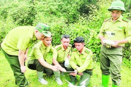 Forest rangers in Son La province apply technological devices and software to forest management, monitoring, and protection. (Photo: nhandan.vn)