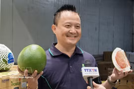 Ly Hoang Duy, CEO of 4 Ways Fresh, speaks to a Vietnam News Agency correspondent (Photo: VNA)