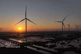 A wind farm in Ca Mau province (Photo: VNA)