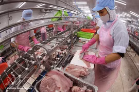 Agro-forestry-fishery exports are estimated at 6.02 billion USD in March, marking a sharp 47.8% increase compared to the previous month. (Photo: VNA)
