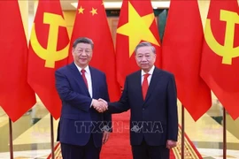 Party General Secretary To Lam (R) and Party General Secretary and President of China Xi Jinping pose for a photo. (Photo: VNA)
