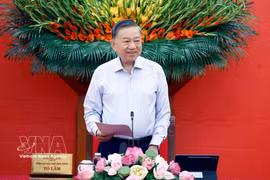 Party General Secretary and State President To Lam speaks at the first meeting of the Central Steering Committee for Foreign Affairs and International Integration. (Photo: VNA)