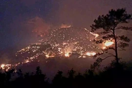 Forest fire occurs in Binh Lieu district's Binh Lieu town on April 12 evening. (Photo: VNA)