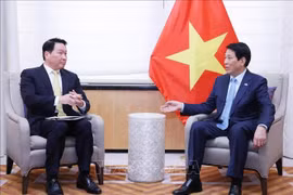 President Luong Cuong (R) receives Taewon Chey, Chairman of SK Inc. and Chairman of the Korea Chamber of Commerce and Industry, in New York on September 24. (Photo: VNA)