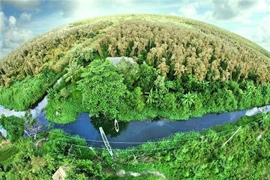 Remote sensing technology used to monitor and verify forest carbon credits in Vietnam. (Photo: Department of National Remote Sensing) 