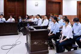 At the the appeal hearing on May 6 (Photo: VNA)
