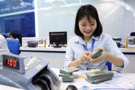 Bao Viet Bank's employee counts Vietnamese banknotes at a transaction counter in Hanoi. (Photo: VNA)