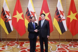 State President Luong Cuong (R) welcomes Sultan of Brunei Haji Hassanal Bolkiah (Photo: VNA)