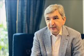 Lithuanian Ambassador to Singapore and Vietnam Darius Gaidys (Photo: VNA)