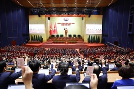 Delegates vote for the adoption of the Resolution of the 14th National Party Congress on January 23 afternoon. (Photo: VNA)