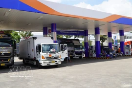 Container trucks purchase fuel at Petrolimex Station No. 111 in My Tho commune, Dong Thap province. (Photo: VNA) 