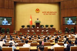 NA Vice Chairman Nguyen Khac Dinh speaks at the 16th National Assembly (NA)’s first session on April 20 (Photo: VNA)