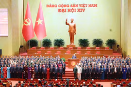 Members of the 14th Party Central Committee make their debut at the 14th National Party Congress. (Photo: VNA)