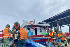 Border guards assist fishermen in reinforcing and securing their boats. (Photo: VNA)