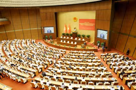Delegates attend a conference to disseminate and implement the Politburo’s Resolution on carrying out the foreign policy orientations set forth by the 14th National Party Congress. (Photo: VNA)