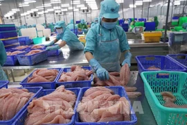 Tra fish processing for export (Photo: VNA)